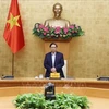 Премьер-министр Фам Минь Тьинь на конференции. (Фото: ВИА)