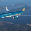 Самолет Vietnam Airlines (Источник: ВИА)