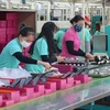 Рабочие на одном заводе во Вьетнаме. (Фото: ВИА)