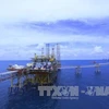 Вьетнам разрабатывает нефть и газ на шельфе месторождения Батьхо. (Фото: ВИА) 