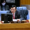 Посол Данг Динь Куи, глава делегации Вьетнама при Организации Объединенных Наций на заседании. (Фото: ВИА)