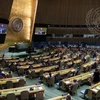 На голосовании в Генеральную Ассамблею ООН. (Фото: Кхак Хиеу - корреспондент ВИА в США)