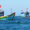 Рыболовные суда Вьетнама (Фото: ВИА) 