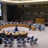 Рабочее заседание СБ ООН (Фото: ВИА)