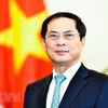 Министр иностранных дел Буй Тхань Шон. (Фото: ВИA)