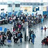 С 4 по 7 января в общей сложности 47 международных рейсов, в том числе 16 коммерческих рейсов, 20 репатриационных рейсов, 11 рейсов для экспертов и туристов, доставили во Вьетнам около 6.100 пассажиров. (Фото: ВИА)