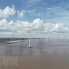 Морской ветроэнергетический проект в дельте Меконга, провинция Баклиеу. (Фото: ВИА)