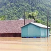 Дом-амфибия, который всплывает во время потопа. (Фото: ВИА)
