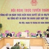 Премьер-министр Фам Минь Тьинь выступает на национальной телеконференции 15 февраля (Фото: ВИА)