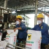 На заводе по производству удобрений Биньдьен в провинции Лонган (Фото: ВИА)