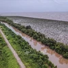 Дельта Меконга является одной из трех дельт в мире, которые будут глубоко затоплены и больше всего пострадают от изменения климата. (Фото: ВИА)