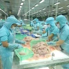 Экспорт рыбной продукции в январе-феврале значительно увеличился на 47,2% до 1,5 млрд. долл. США. (Фото: ВИА)