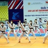Выступление мастеров боевых искусств тхэквондо на церемонии открытия. (Фото: ВИА)