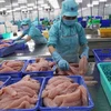 Экспорт сельскохозяйственной, лесной и рыбной продукции за 2 месяца составил около 8 млрд. долл. США, увеличившись в годовом исчислении на 20,9% (Иллюстративное фото: ВИА).