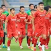 Мужская сборная Вьетнама по футболу (Фото: Федерация футбола Вьетнама) 