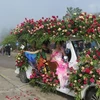 Парад роз на открытии фестиваля. (Фото: ВИА) 