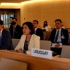 Делегация Вьетнама на 50-й очередной сессии Совета ООН по правам человека в Женеве (Фото: ВИА) 