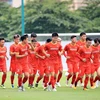 Мужская сборная Вьетнама по футболу. (Фото: VFF)