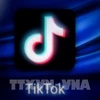 Иконка социальной сети TikTok. (Фото: АФП/ВИА)