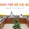 Премьер-министр Фам Минь Тьинь (стоит) работает с ключевыми руководителями Хошимина (Фото: ВИА)