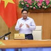 Премьер-министр Фам Минь Тьинь выступает на заседании правительства 3 августа. (Фото: ВИА)