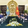 На переговорах министра иностранных дел Вьетнама Буй Тхань Шона с заместителем премьер-министра, министром иностранных дел Казахстана Мухтаром Тилеуберди (Фото: ВИА) 