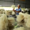 Рисовая лапша упаковывается в цехе кооператива по производству рисовой лапши Хунгло в городе Вьетчи, провинция Футхо. (Фото: ВИА) 