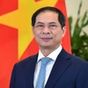 Министр иностранных дел Буй Тхань Шон (Источник: Министерство иностранных дел)