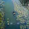 Лодки плывут в Тхунгнанг, туристический объект в провинции Ниньбинь. (Фото: ВИА) 
