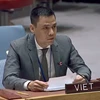 Посол Данг Хоанг Жанг, глава Постоянного представительства Вьетнама при ООН (Фото: ВИА) 