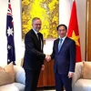 Министр иностранных дел Буй Тхань Шон нанес визит вежливости премьер-министру Австралии Энтони Альбанезе в Доме Федеральный парламент Австралии. (Фото: ВИА)