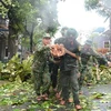 Тайфун «Нору» повалил много деревьев в Дананге. (Фото: ВИА)