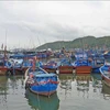 Чтобы внести свой вклад в снятие «желтой карточки» с рыбной промышленности, рыбаки Кханьхоа прилагают усилия по борьбе с незаконным, несообщаемым и нерегулируемым (ННН) промыслом. (Фото: ВИА)