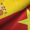 Национальные флаги Вьетнама и Испании.