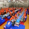 Производство сосисок по современной европейской технологии пастеризации на заводе C.P Vietnam Livestock Joint Stock Company (инвестиция Таиланда), Ханойский филиал. (Фото: Зань Лам/ВИА)