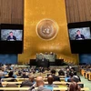 На заседании ООН. (Фото: ВИА)
