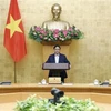 Премьер-министр Фам Минь Тьинь выступает на встрече. (Фото: ВИА) 