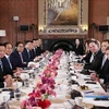 Премьер-министр Фам Минь Тьинь и премьер-министр Нидерландов Марк Рютте проводят переговоры. (Фото: Зыонг Жанг/ВИА)