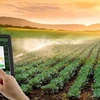 Применение науки и технологий для устойчивого сельского хозяйства. (Фото: nongnghiep.vn)