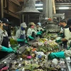 Переработка твердых бытовых отходов на мусороперерабатывающем заводе. (Фото: ВИА)