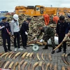 Компетентные силы подсчитали количество контрабанды слоновой кости. (Фото: ВИА)