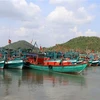 Рыболовные суда бросают якорь у пристани в городе Хатьен, провинция Кьенжанг (Фото: ВИА)