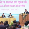 Выступает на встрече премьер-министр Фам Минь Тьинь. (Фото: ВИА)