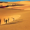 Золотые песчаные дюны Муйне. (Фото: baobinhthuan.com.vn)