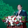 На встрече выступает премьер-министр Фам Мин Тьинь. (Фото: ВИА) 