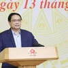 Совещание открыл премьер-министр Фам Минь Тьинь. (Фото: ВИА)