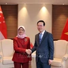 Президент Во Ван Тхыонг на встрече с президентом Сингапура Халимой Якоб. (Фото: Тхонг Нят/ВИА)