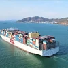 В последнее время морской порт Каймеп - Тхивай постоянно принимает множество крупных контейнеровозов. (Фото: ВИА)