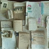 Переданные документы, в том числе 5 дневников и 30 писем, написанных во время войны, их авторы погибли.