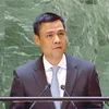 Посол Данг Хоанг Жанг, постоянный представитель Вьетнама при Организации Объединенных Наций (ООН). (Фото: ВИA)